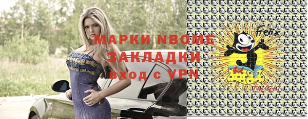 стаф Новокубанск