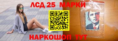 гидра Гатчина
