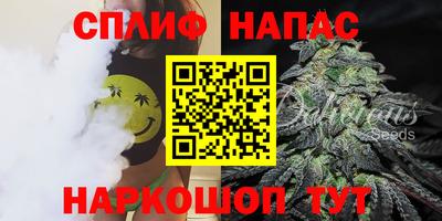гидра Гатчина