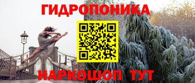 гидра Гатчина