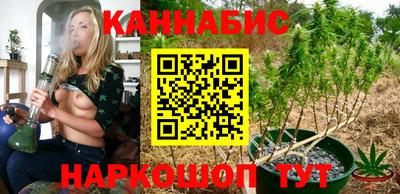 гидра Гатчина