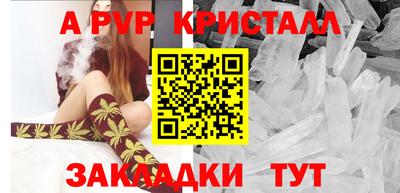 гидра Гатчина