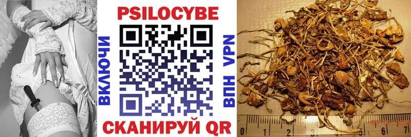 shop формула  Унеча  Галлюциногенные грибы Magic Shrooms 