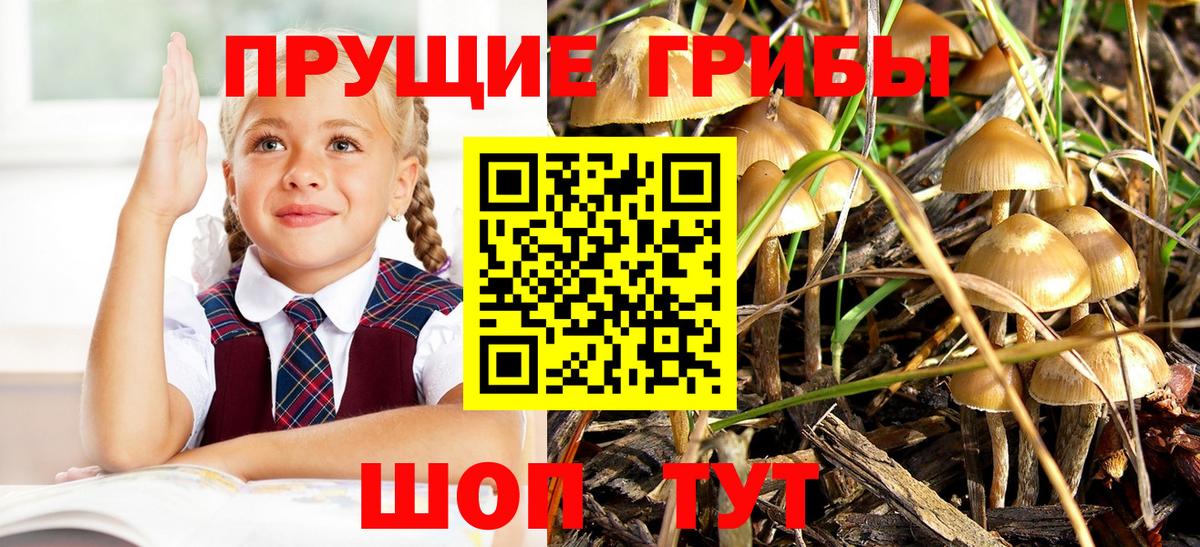 Галлюциногенные грибы MAGIC MUSHROOMS  Вход с VPN  Псилоцибиновые грибы Magic Shrooms  Унеча 
